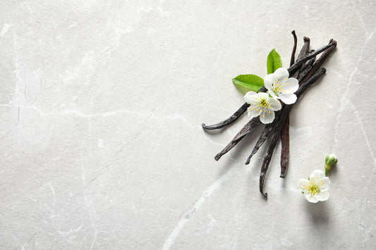 The Basics Of Vanilla